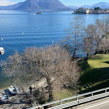 Mylago *