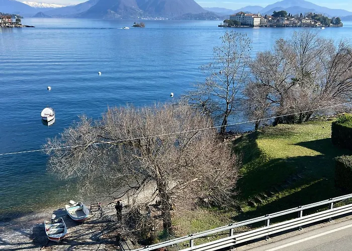 Mylago *
